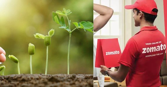 Zomato growth strategy