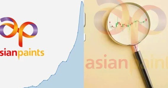 Asian Paints Bonus History