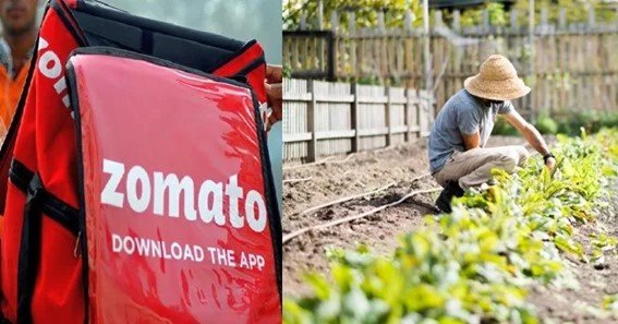 Zomato Hyperpure business model