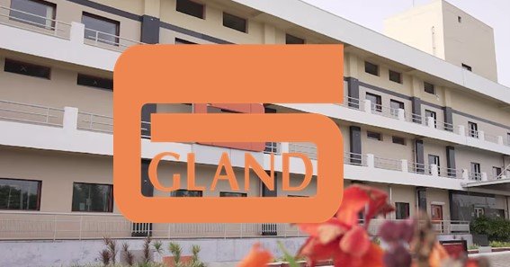 gland pharma split history