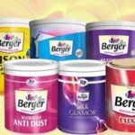 is Berger Paints overvalued