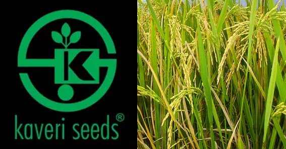 is kaveri seeds overvalued