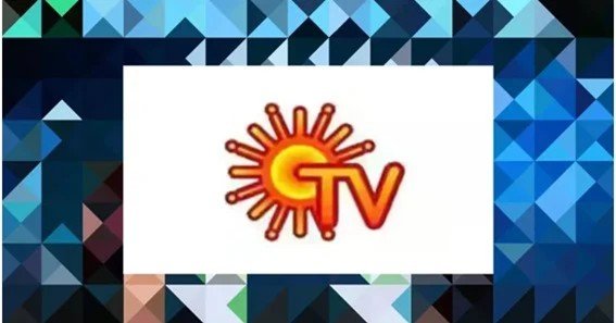 who are sun tv competitors