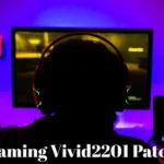 The Rise and Impact of Gaming Vivid2201 Patches