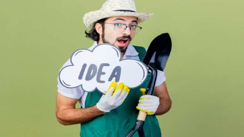 BetterThisFacts Tips for a Smarter Everyday Life