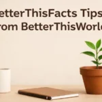 BetterThisFacts Tips to Improve Everyday Life