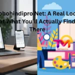 SohoHindiPro Net – Explore Hindi Content Online