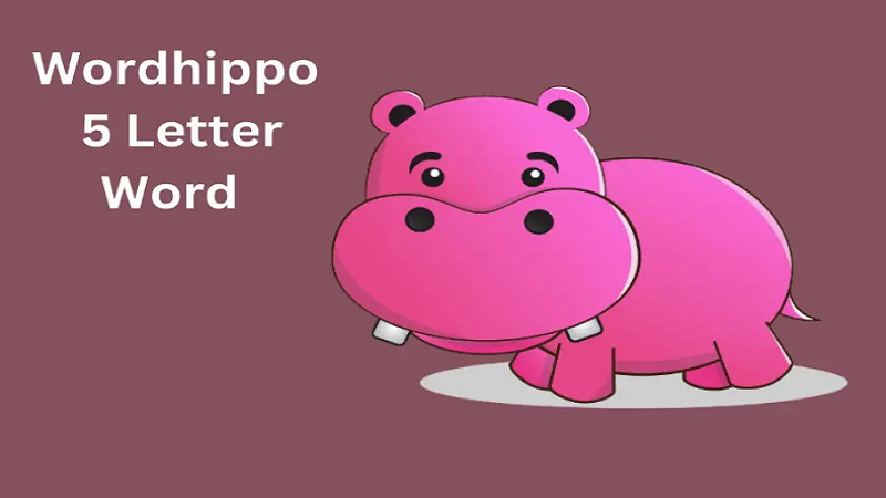 Word Hippo 5 Letter Words: Boost Your Vocabulary