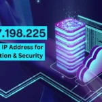 Understanding 34.217.198.225: Insights & Uses