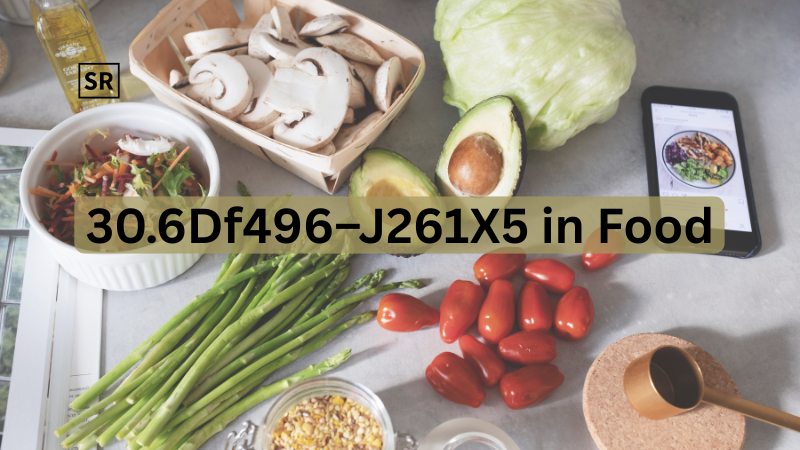 What is 30.6df496–j261x5? Meaning Explained Clearly